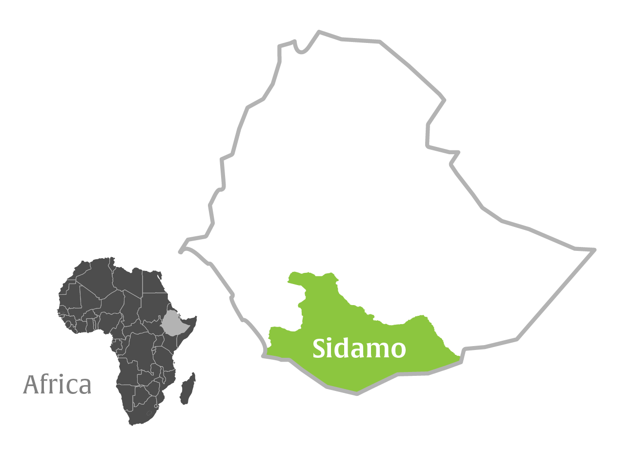 Ethiopia Sidamo